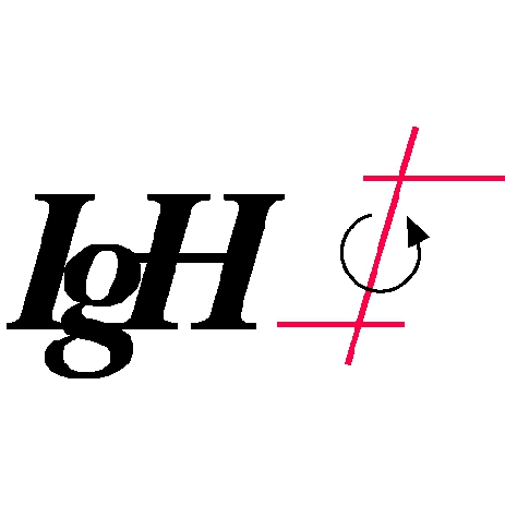 Ingenieurgemeinschaft IgH GmbH